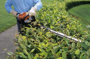 Macomb County Landscape, shrub and tree trimming