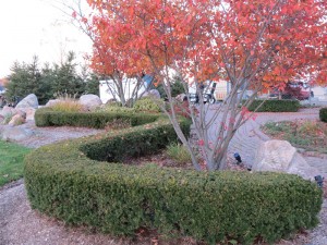 Serpentine Hedge